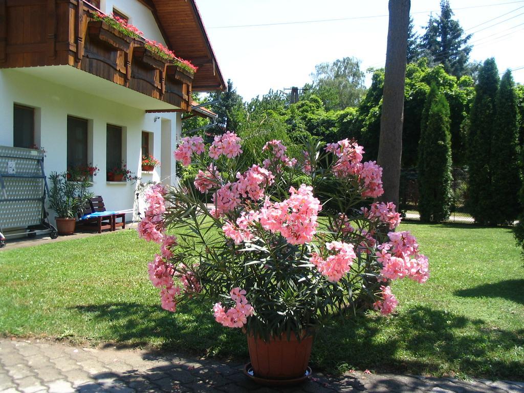 Sommer Panzio Balatonföldvár Buitenkant foto